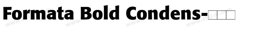 Formata Bold Condens字体转换